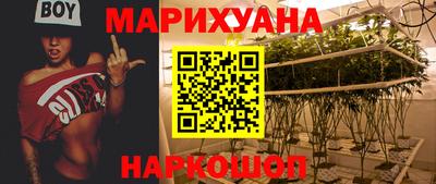 гидра Дубна