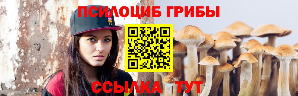 Псилоцибиновые грибы мухоморы Видное
